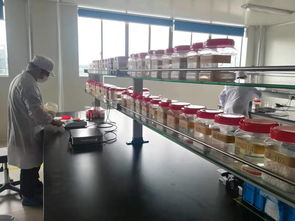 首戰(zhàn)雙11的義烏外貿(mào)工廠 按需生產(chǎn)不開網(wǎng)店也賣全國