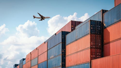 老碼頭煥發新生機 上海羅涇集裝箱港今日開港，綠色智慧賦能北京國際貿易新通道